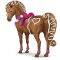 [img=https://gaia.equideow.com/media/equideo/image/chevaux/special/60/adulte/gingerbread-female.png]