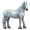 [img=https://gaia.equideow.com/media/equideo/image/chevaux/special/60/adulte/greyfell-0.png]