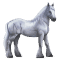 [img=https://gaia.equideow.com/media/equideo/image/chevaux/special/60/adulte/greyfell-1.png]