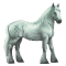 [img=https://gaia.equideow.com/media/equideo/image/chevaux/special/60/adulte/greyfell-10.png]