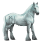 [img=https://gaia.equideow.com/media/equideo/image/chevaux/special/60/adulte/greyfell-11.png]