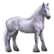 [img=https://gaia.equideow.com/media/equideo/image/chevaux/special/60/adulte/greyfell-2.png]