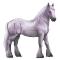 [img=https://gaia.equideow.com/media/equideo/image/chevaux/special/60/adulte/greyfell-3.png]