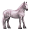 [img=https://gaia.equideow.com/media/equideo/image/chevaux/special/60/adulte/greyfell-5.png]