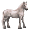 [img=https://gaia.equideow.com/media/equideo/image/chevaux/special/60/adulte/greyfell-6.png]