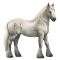 [img=https://gaia.equideow.com/media/equideo/image/chevaux/special/60/adulte/greyfell-7.png]