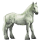 [img=https://gaia.equideow.com/media/equideo/image/chevaux/special/60/adulte/greyfell-8.png]