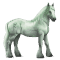 [img=https://gaia.equideow.com/media/equideo/image/chevaux/special/60/adulte/greyfell-9.png]
