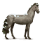 [img=https://gaia.equideow.com/media/equideo/image/chevaux/special/60/adulte/hiver.png]