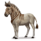[img=https://gaia.equideow.com/media/equideo/image/chevaux/special/60/adulte/hydrontin.png]