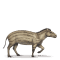 [img=https://gaia.equideow.com/media/equideo/image/chevaux/special/60/adulte/hyracotherium.png]