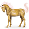 [img=https://gaia.equideow.com/media/equideo/image/chevaux/special/60/adulte/io.png]