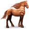 [img=https://gaia.equideow.com/media/equideo/image/chevaux/special/60/adulte/jupiter.png]