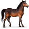 [img=https://gaia.equideow.com/media/equideo/image/chevaux/special/60/adulte/kaimanawa.png]