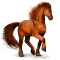 [img=https://gaia.equideow.com/media/equideo/image/chevaux/special/60/adulte/mars.png]