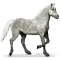 [img=https://gaia.equideow.com/media/equideo/image/chevaux/special/60/adulte/mercure.png]