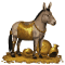 [img=https://gaia.equideow.com/media/equideo/image/chevaux/special/60/adulte/midas.png]