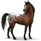 [img=https://gaia.equideow.com/media/equideo/image/chevaux/special/60/adulte/mustang.png]