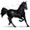 [img=https://gaia.equideow.com/media/equideo/image/chevaux/special/60/adulte/onyx.png]