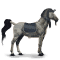 [img=https://gaia.equideow.com/media/equideo/image/chevaux/special/60/adulte/osiris.png]