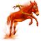 [img=https://gaia.equideow.com/media/equideo/image/chevaux/special/60/adulte/paprika.png]