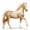 [img=https://gaia.equideow.com/media/equideo/image/chevaux/special/60/adulte/perle.png]