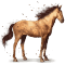 [img=https://gaia.equideow.com/media/equideo/image/chevaux/special/60/adulte/pluton.png]
