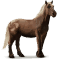 [img=https://gaia.equideow.com/media/equideo/image/chevaux/special/60/adulte/pottok.png]
