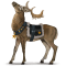 [img=https://gaia.equideow.com/media/equideo/image/chevaux/special/60/adulte/prancer.png]