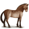 [img=https://gaia.equideow.com/media/equideo/image/chevaux/special/60/adulte/przewalski.png]
