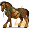 [img=https://gaia.equideow.com/media/equideo/image/chevaux/special/60/adulte/rongo.png]
