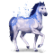 [img=https://gaia.equideow.com/media/equideo/image/chevaux/special/60/adulte/saphir.png]
