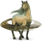 [img=https://gaia.equideow.com/media/equideo/image/chevaux/special/60/adulte/saturne.png]