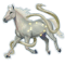 [img=https://gaia.equideow.com/media/equideo/image/chevaux/special/60/adulte/serpentaire.png]