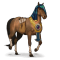 [img=https://gaia.equideow.com/media/equideo/image/chevaux/special/60/adulte/thot.png]