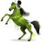 [img=https://gaia.equideow.com/media/equideo/image/chevaux/special/60/adulte/wasabi.png]