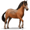 [img=https://gaia.equideow.com/media/equideo/image/chevaux/special/60/adulte/welsh-mountain.png]