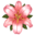 https://gaia.equideow.com/media/equideo/image/produits/32/lys-hera_v1828806360.png